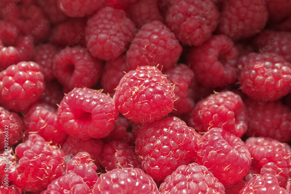 Bright red raspberries. Red berry background, copy space Bright red raspberries. Red berry background, copy space