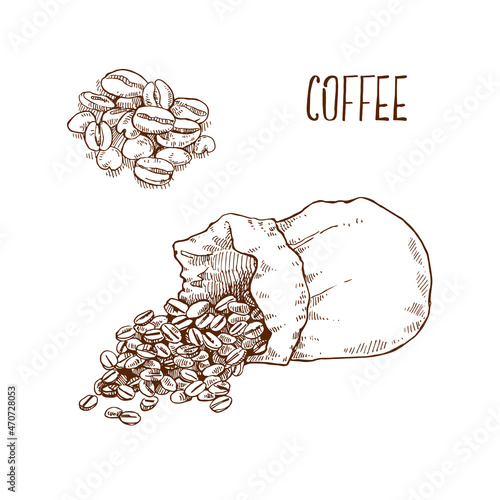 Hand drawn vector ripe coffee bean illustration