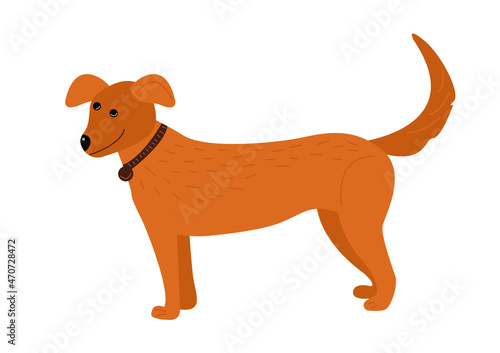 Vector farm animals, rustic domestic horse dog.Agricultural animals in flat style isolated on white background. Childrens illustration