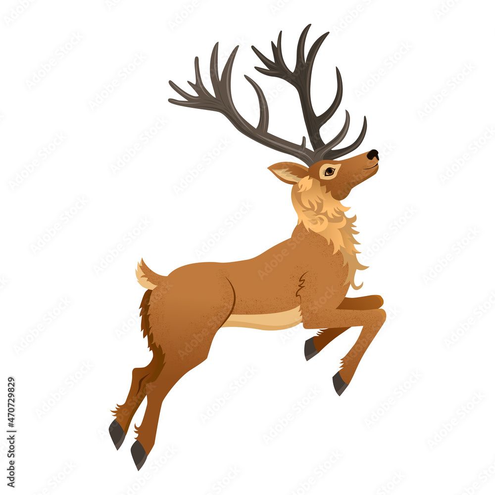 Cartoon reindeer with beautiful antlers is jumping. Doe animal. Christmas  character cute deer isolated on white background. Vector illustration.  Stock Vector | Adobe Stock