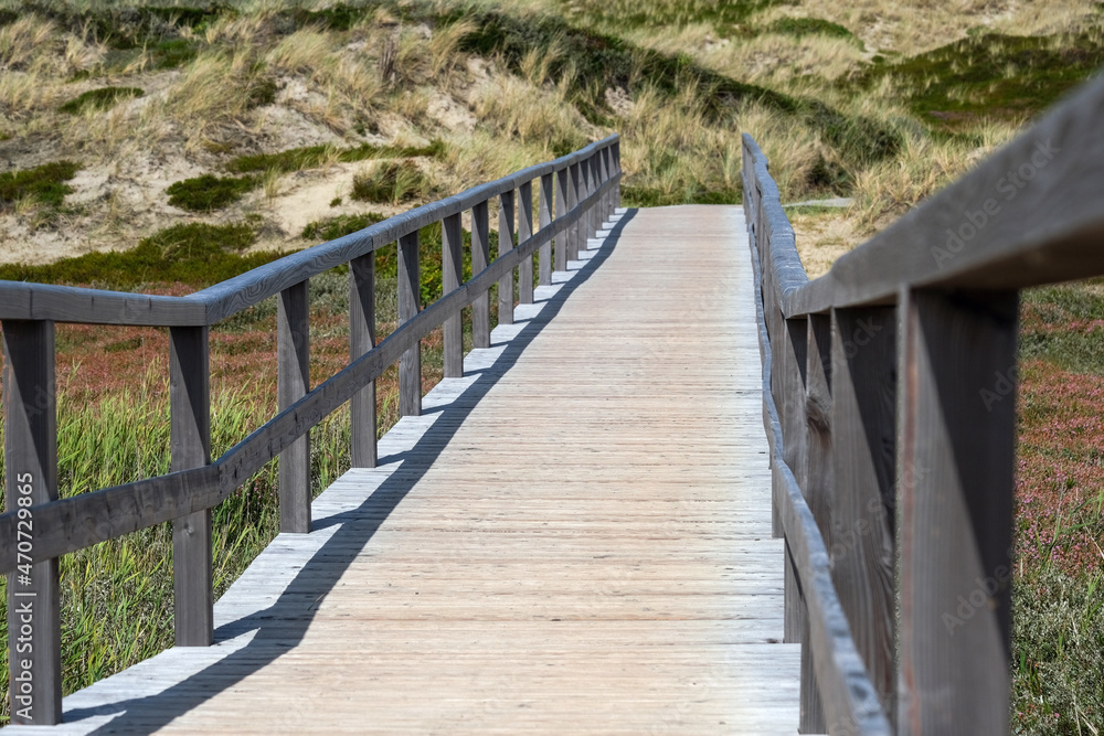 Der Weg zum berühmten und bekannten Strandübergang „Buhne 16“ über den Holzsteg durch die wunderschöne Natur der deutschen Nordseeinsel Insel Sylt, selektiver Fokus 