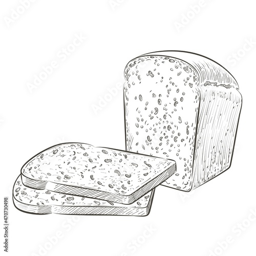 Vector sliced bread. The cut loaf of square toast bread for sandwich. Logo, icon. Sketch realistic line vintage illustration