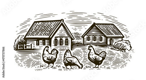 Chickens in village sketch. Rural landscape in vintage engraving style