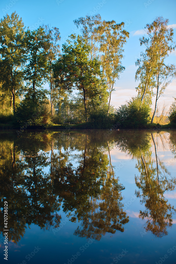 Reflecting Trees at a lakeshore in the woods in bright morning light. High quality photo