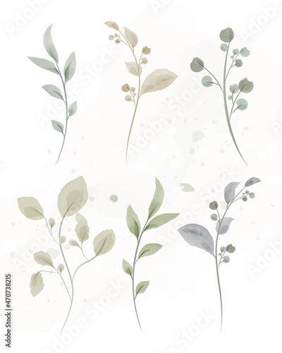 Set of vector plant elements in a watercolor style for cards and wedding invitations.