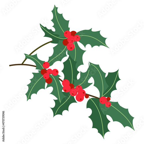 Christmas holly branches with berry and leaves isolated on white background. Vector flat illustration. Christmas symbol