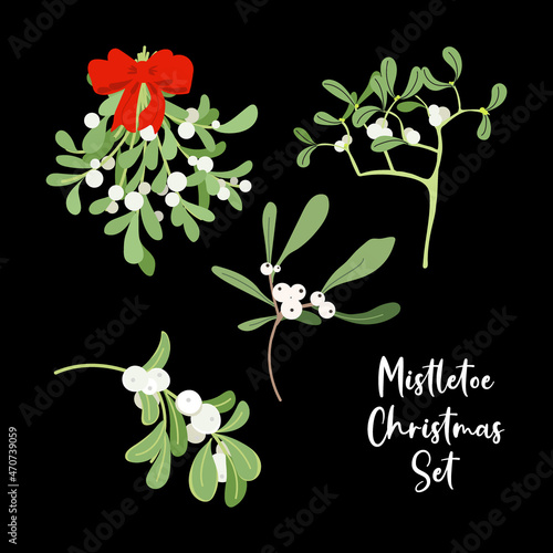 Christmas winter set vector with Viscum, mistletoe branches with red bow, isolated on dark background. Christmas holiday objects collection. Happy new year. Xmas illustration.