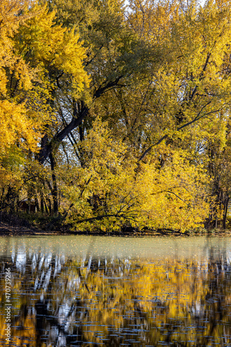 A beautiful reflection in Autumn at a national park in Minnesota
