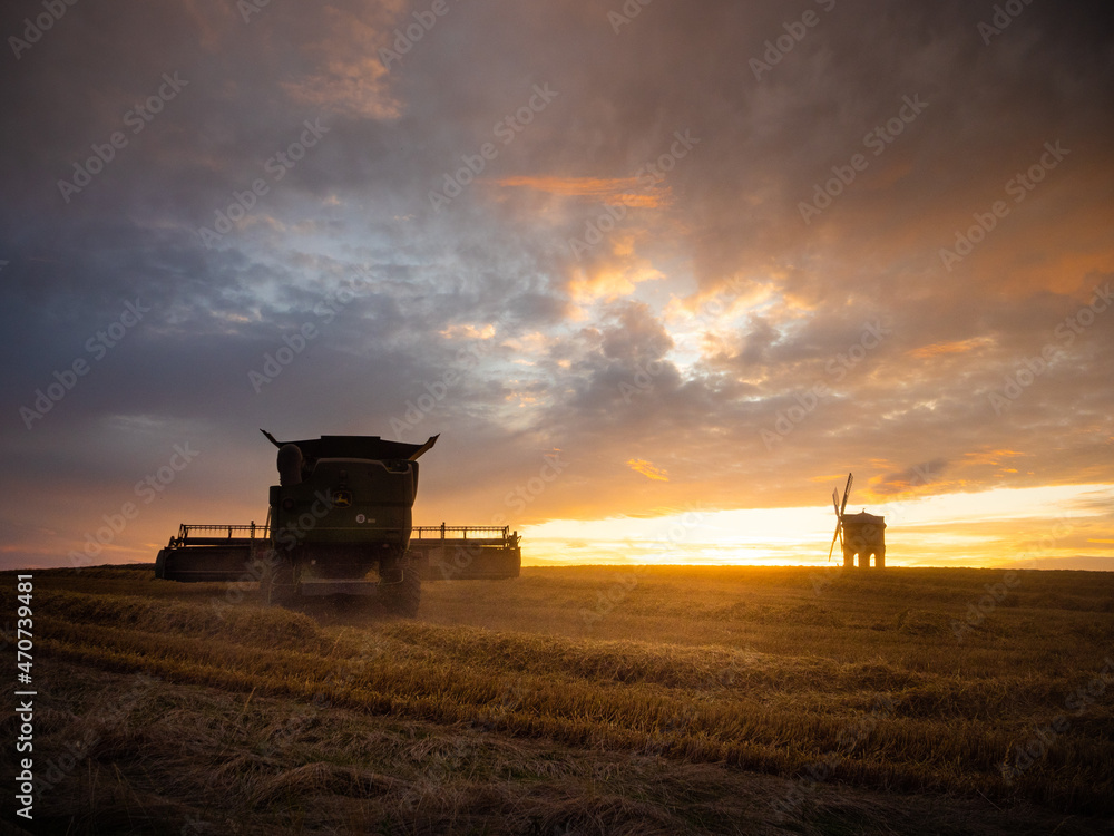 Fototapeta premium A working combine harvester silhouetted against a stunning sunset in the middle of a wheat field. In the distance is a historic windmill