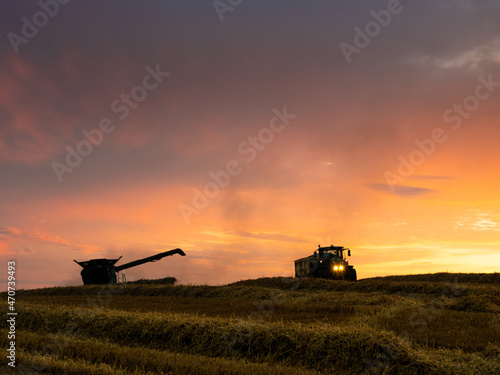 A combine harvester, and waiting trailer, silhouetted against a sunset in the middle of a wheat field