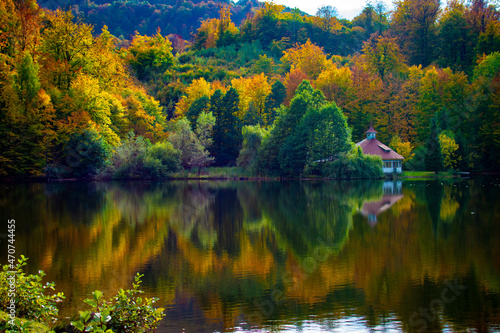 Fototapeta Naklejka Na Ścianę i Meble -  Vivid Reflection into Lake during the Autumn