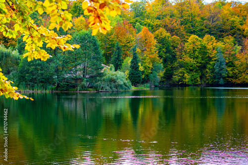 Vivid Reflection into Lake during the Autumn