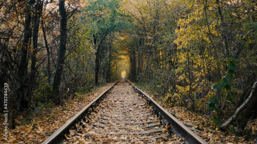 Tunnel of love, railway. Old tracks overgrown with trees. Romantic charming place. Tunnel of love, railway. Old tracks overgrown with trees. Romantic charming place.