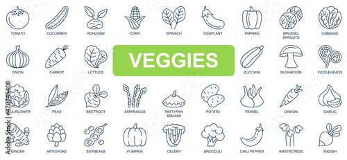 Veggies concept simple line icons set. Bundle of tomato, cucumber, spinach, eggplant, cabbage, onion, carrot, pumpkin, beetroot and other. Vector pack outline symbols for website or mobile app design
