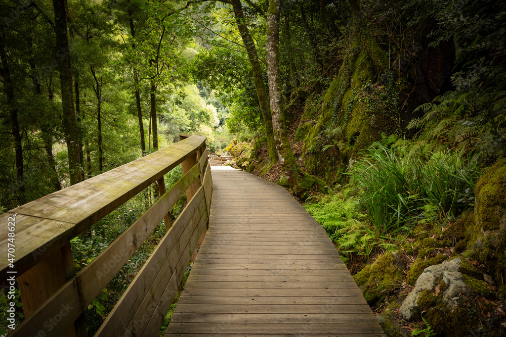 Obraz premium wooden walkways of Paiva river at Arouca Geopark, Municipality of Arouca, Aveiro District, Portugal