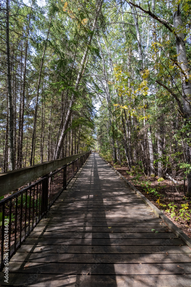 Obraz premium Wooden boardwalk trail through the forest at Kakabeka Falls, Ontario, Canada