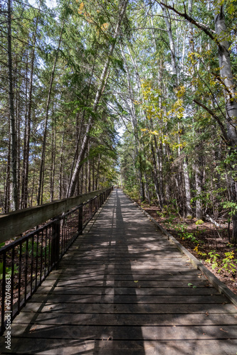 Wooden boardwalk trail through the forest at Kakabeka Falls  Ontario  Canada