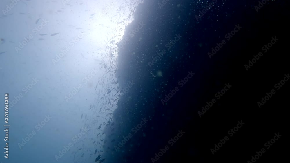 Under water film of coral cliff - fish - and glaring sunlight with rising air bubbles - in the Gulf of Thailand - 4k resolution Under water film of coral cliff - fish - and glaring sunlight with rising air bubbles - in the Gulf of Thailand - 4k resolution