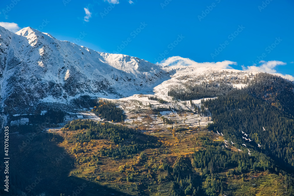 Aerial view of Kailash Himalaya mountain slopes ideal for skiing and adventure sports at Narkanda, Himachal Pradesh India