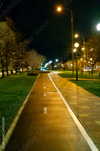 A summer park on the outskirts of a big city with bicycle paths and decorated lighting poles. A place of rest for many citizens. Night