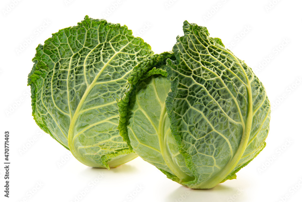 西洋野菜のサボイキャベツ 西洋野菜のサボイキャベツ