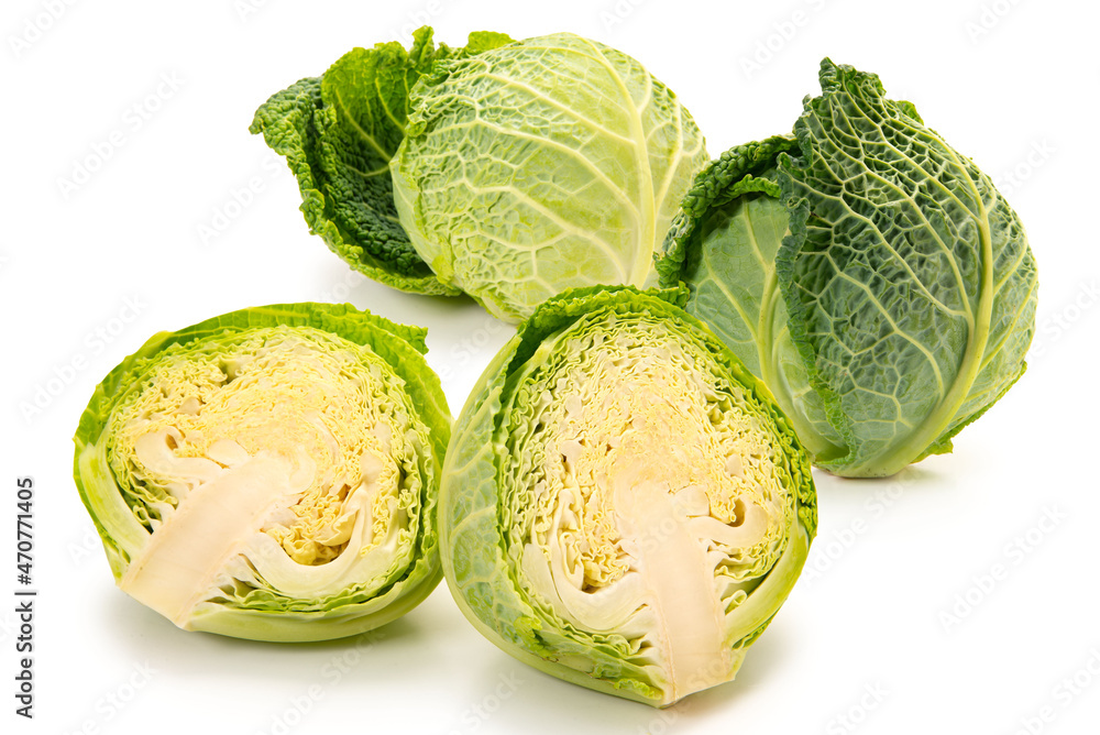 西洋野菜のサボイキャベツ 西洋野菜のサボイキャベツ
