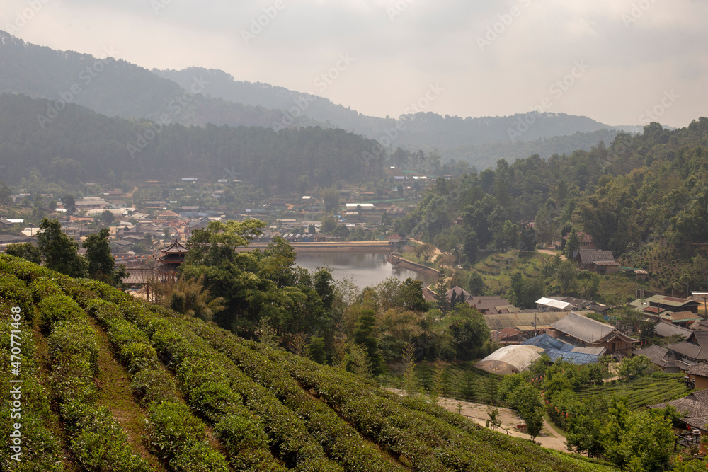 In the distance, the village is seen in the middle of the forest.