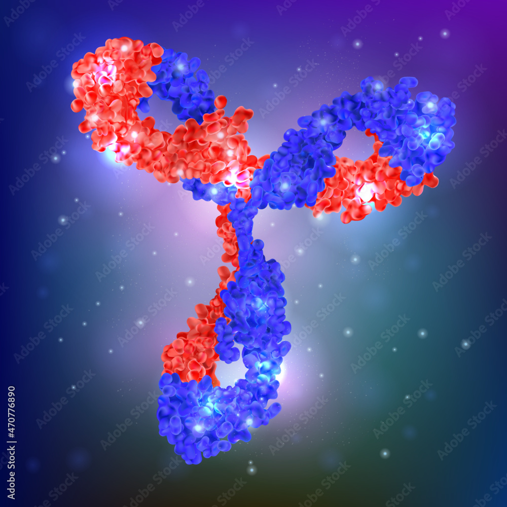 BioScience Antibody. vector illustration of an antibody, or