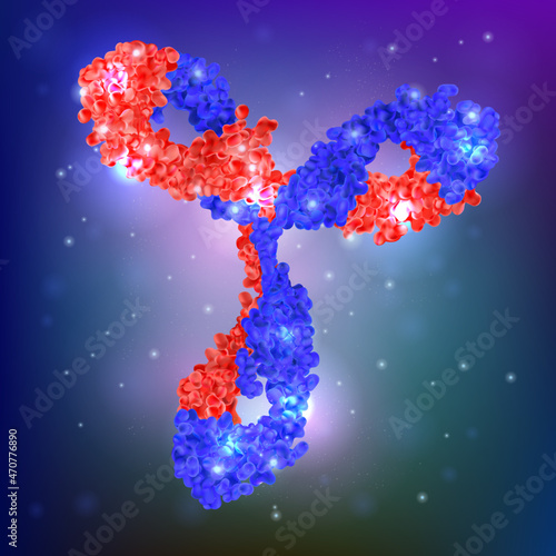 BioScience Antibody. vector illustration of an antibody, or immunoglobulin, molecule. Y-shaped molecules that bind to specific antigens viral or bacterial proteins. 