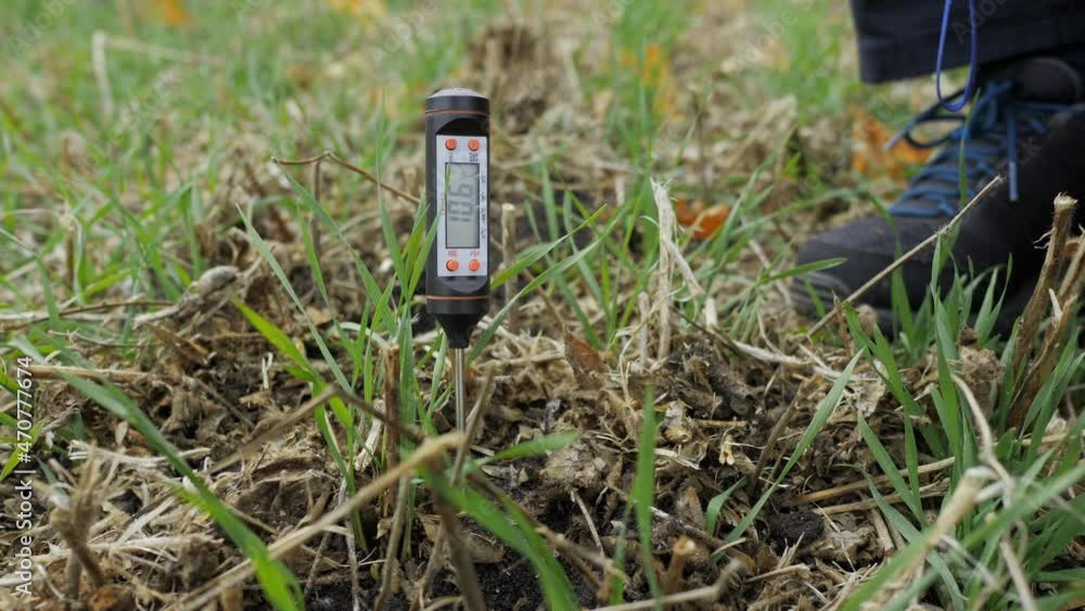 Close-up of a farmer inserting a measuring device into the ground to measure the temperature and moisture of the ground during the growth of the wheat crop in autumn Close-up of a farmer inserting a measuring device into the ground to measure the temperature and moisture of the ground during the growth of the wheat crop in autumn