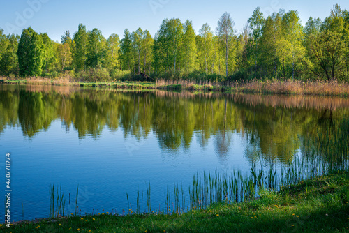 A small forest lake in Belarus at spring time