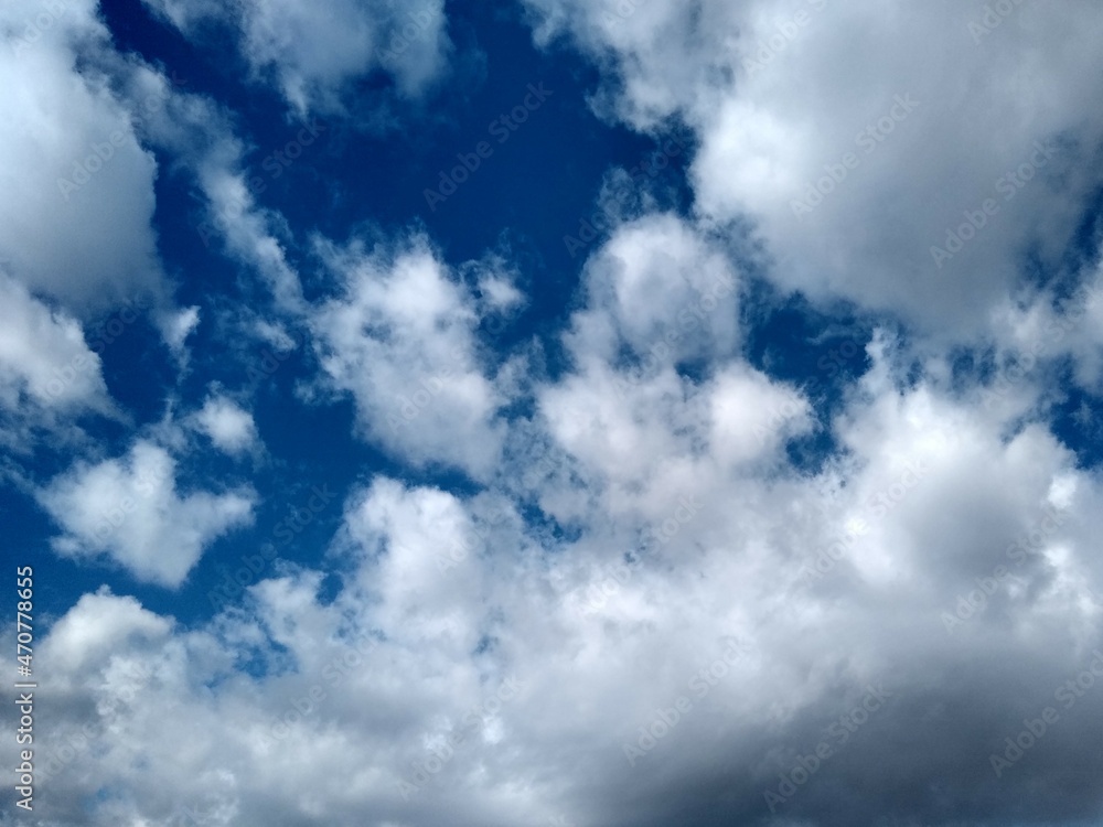 Obraz premium 東京のそら(21.11.23)