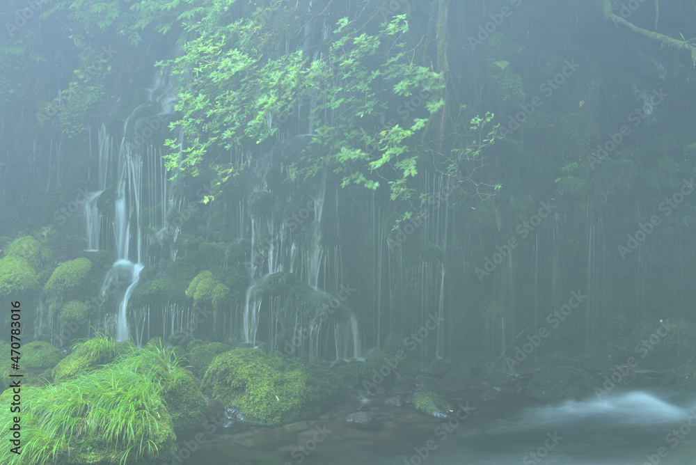 新緑の元滝伏流水