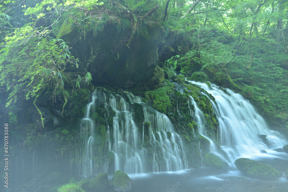 新緑の元滝伏流水