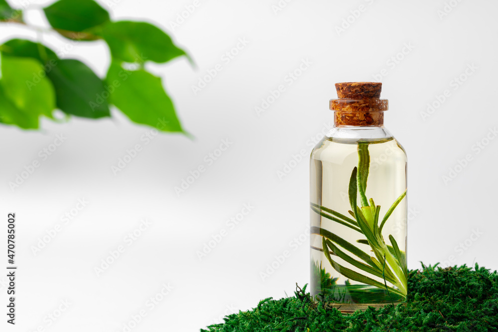 Cosmetics in a bottle, essential oil on moss Cosmetics in a bottle, essential oil on moss