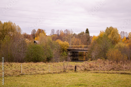 autumn landscape in the forest