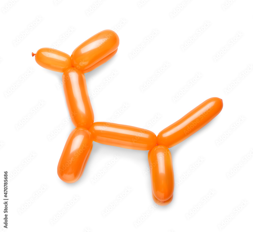 Dog made of balloon on white background Dog made of balloon on white background
