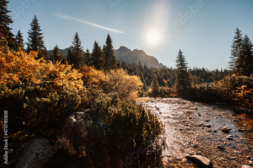 Hiking Strbske lake to popradske lake , very popular hiking destination in High Tatras National park, Slovakia. Autumn color nature . photo