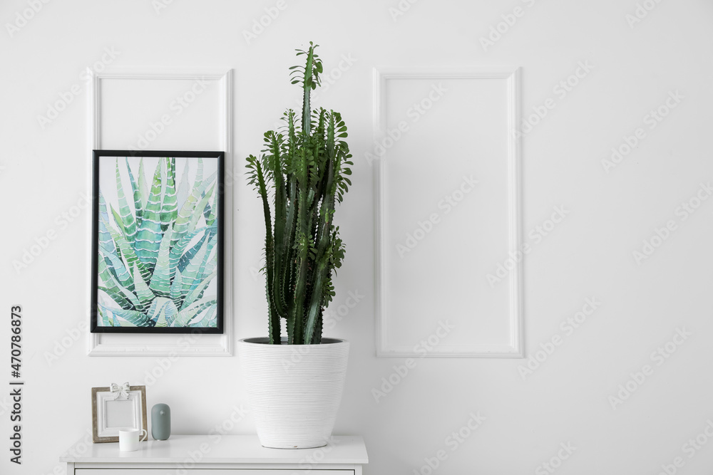 Green cactus and frame on shelf near light wall Green cactus and frame on shelf near light wall