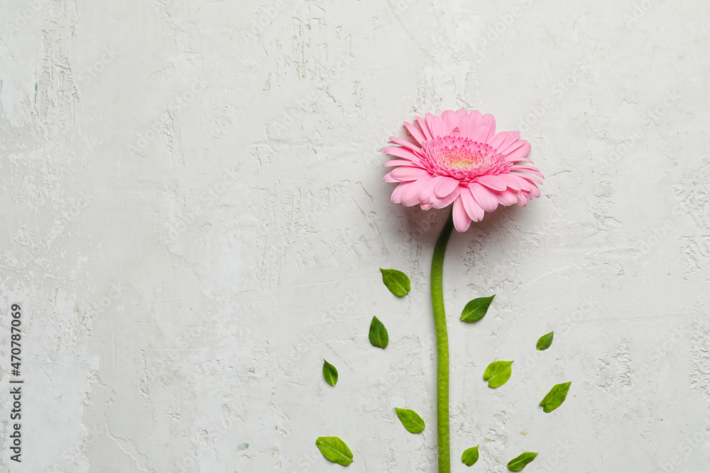 Composition with beautiful gerbera flower and leaves on light background - obrazy, fototapety, plakaty 