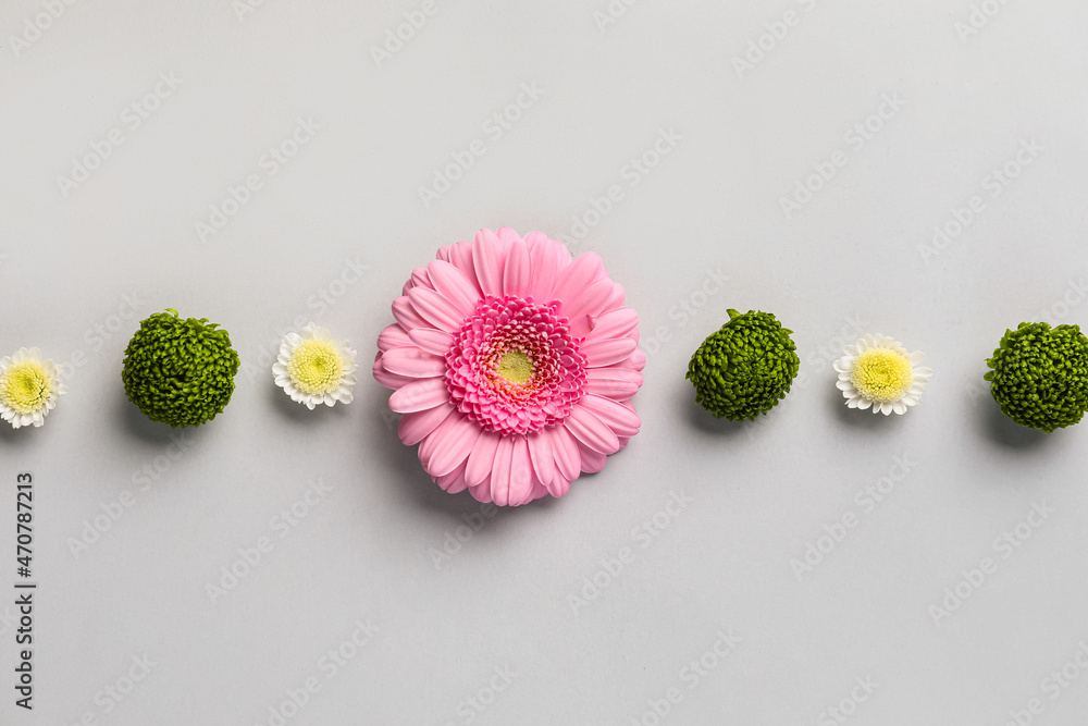 Line made of different flowers on light background, closeup - obrazy, fototapety, plakaty 