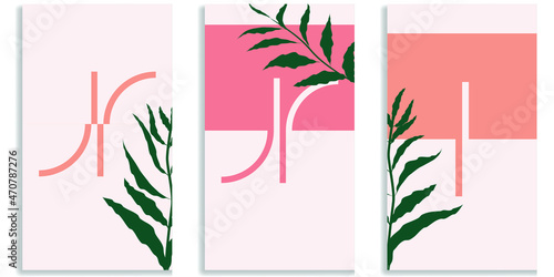 Social media covers with simple design elements . Boho style . Leaves . Post frame stories templates.  Layout for promotion .Media banner .Vector