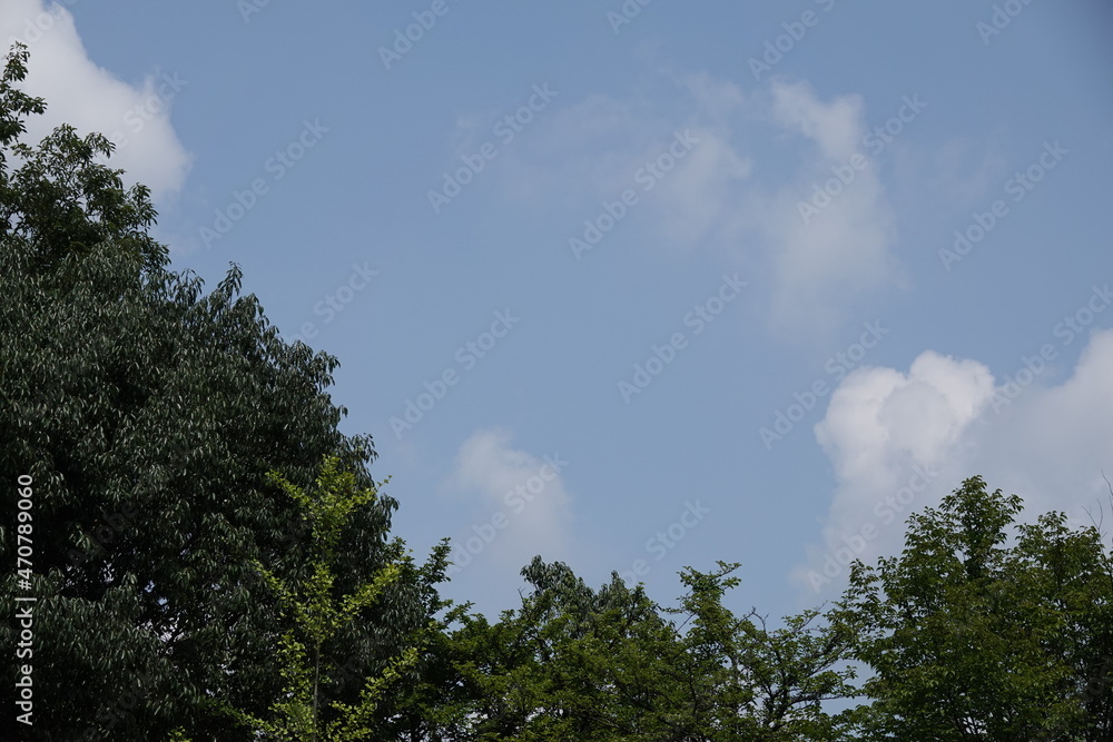 夏の青空 夏の青空