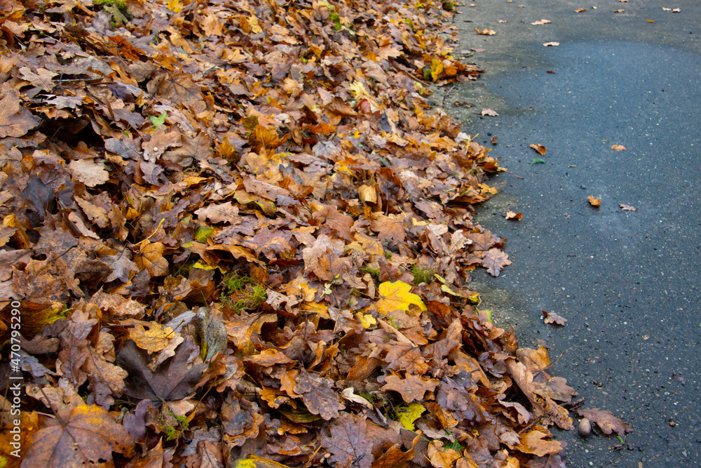 Pile of autumn leaves beside a road Pile of autumn leaves beside a road