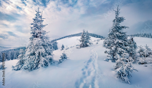 Landscape photography. Trekking in winter mountains. Wonderful morning scene of Carpathian mountains. Beauty of nature concept background..