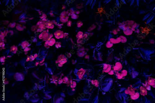 abstraction background leaves neon colors	
