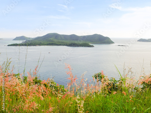 flowers on the meadow and blur ocean view point