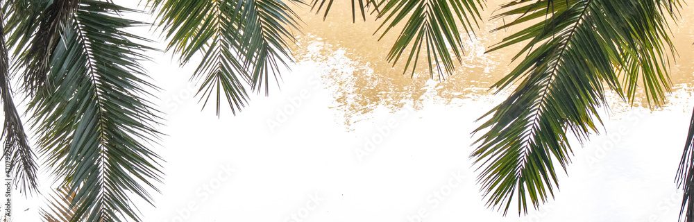 Fototapeta premium Palm leaves with white background Cover 2 tan