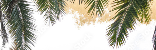 Palm leaves with white background Cover 2 tan