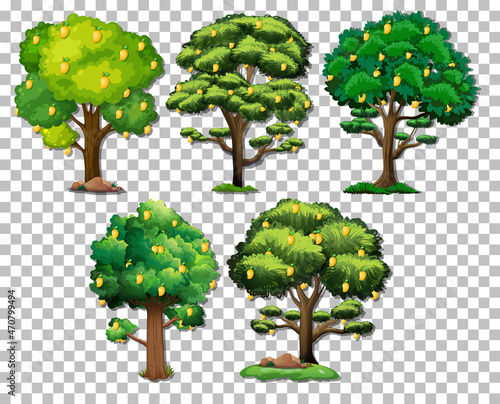 Set of different trees on transparent background